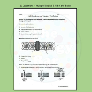 Biology Cell Transport Review and Test