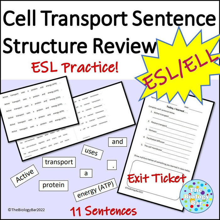 Biology Cell Transport Sentence Creation