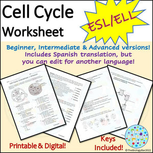 Biology Cell Cycle Mitosis Worksheet