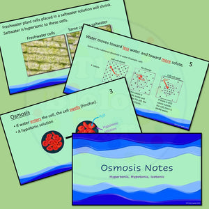 Biology Cell Transport Osmosis Notes
