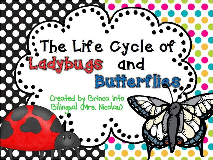 Life Cycle Unit - Ladybug and Butterfly Grades 1-3