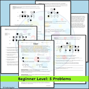 Genetics Pedigree Worksheet