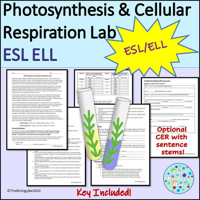 Biology Cell Energy Lab