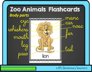 Zoo Animals Body Cards and activity sheets