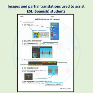 Biology Cell Transport Bioman Simulation