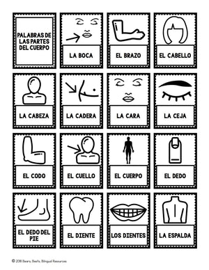 Bilingual Body Part Word Cards
