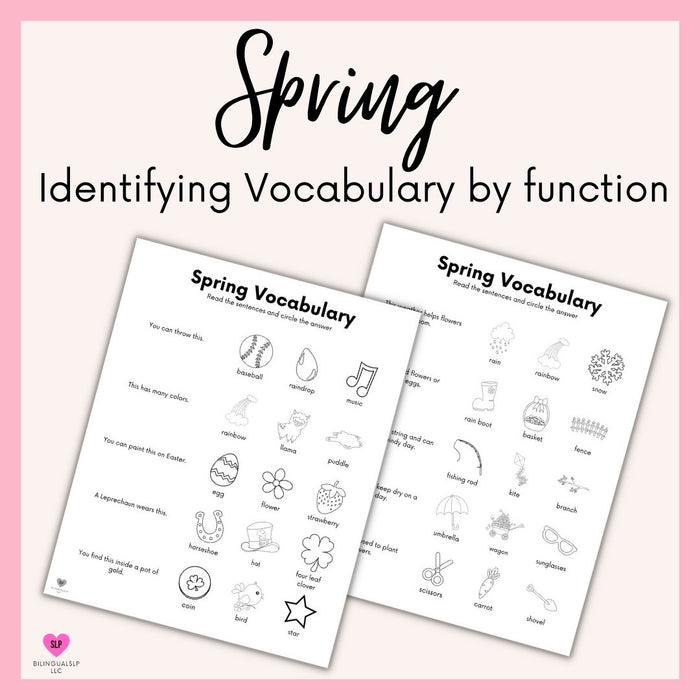 Spring Identifying Objects by Function Worksheets