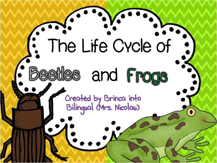 Life Cycle Unit - Mealworms/Beetles & Frogs Grades 1-3