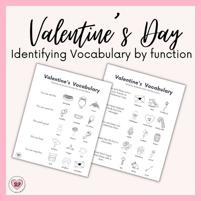 Valentine's Day Identifying Objects by Function Worksheets