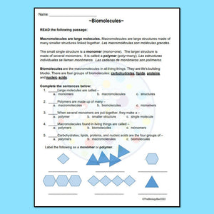 Biology Biomolecule Introduction or Review Reading & Questions