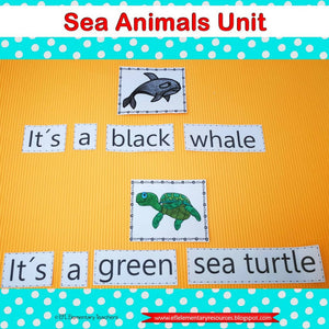 Sea, Ocean or Underwater Animals for Elementary ESL