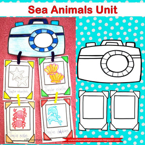 Sea, Ocean or Underwater Animals for Elementary ESL