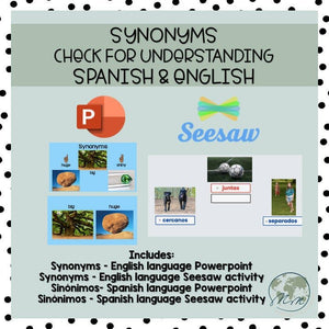 Synonyms Check for Understanding Spanish & English