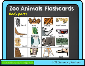 Zoo Animals Body Cards and activity sheets