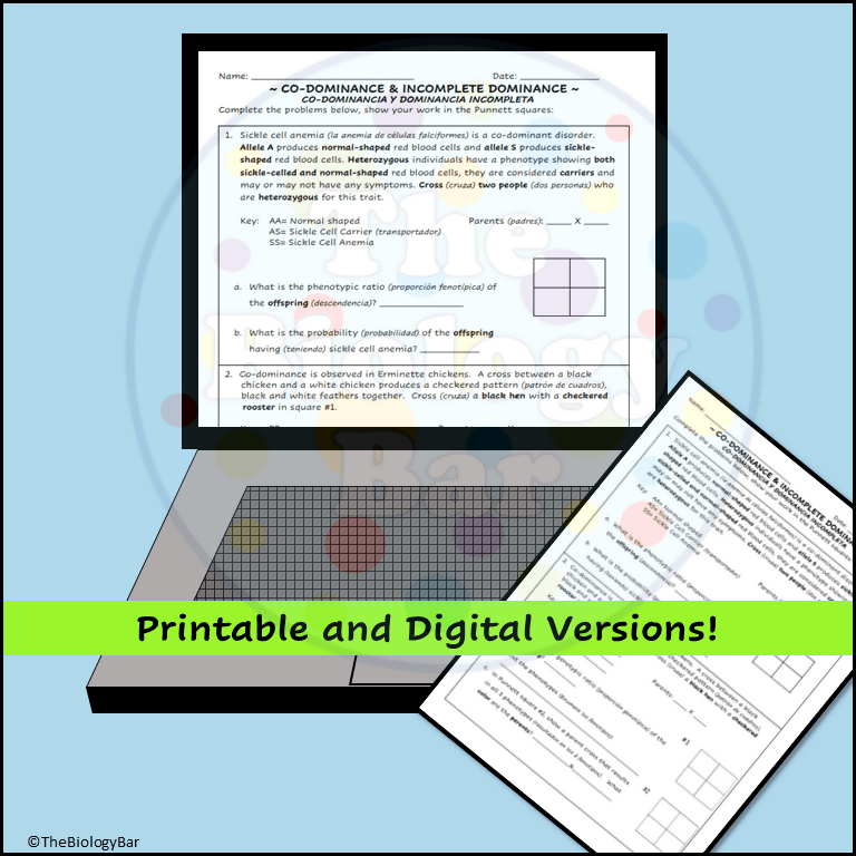 Incomplete Dominance Worksheet.pdf Genetics Incomplete Dominance Codominance Punnett Square Problems ...