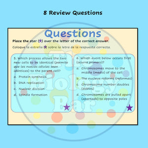 Biology Cell Cycle & Mitosis Interactive PowerPoint