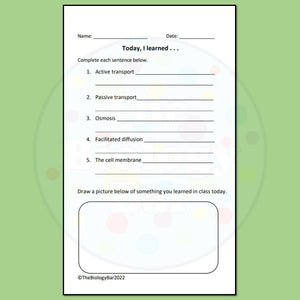 Biology Cell Transport Sentence Creation