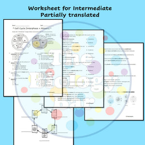 Biology Cell Cycle Mitosis Worksheet