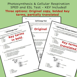 Biology Cell Energy Review and Test