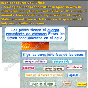 Los peces in Google Slides™