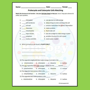 Biology Cells Prokaryote & Eukaryote Worksheet