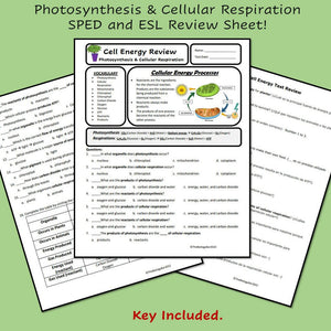 Biology Cell Energy Review and Test