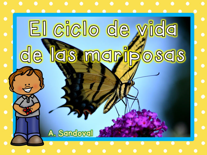 Butterfly Life Cycle El ciclo de vida de la mariposa