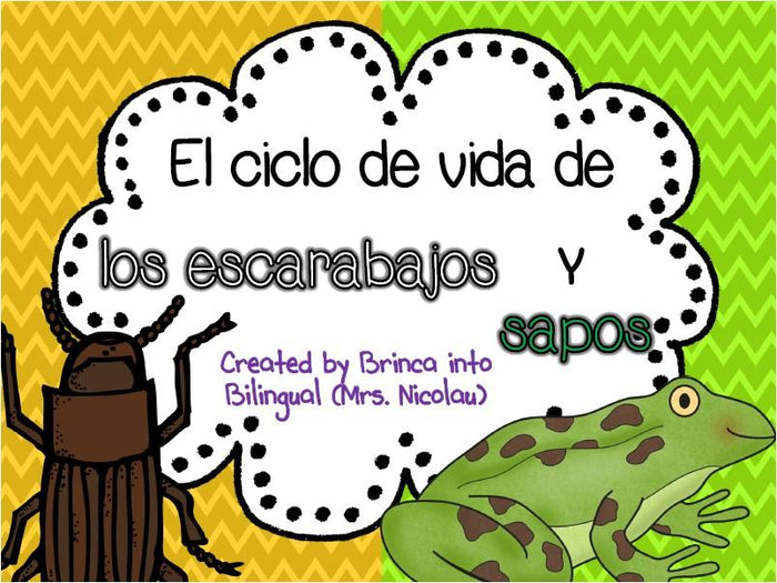 Unidad Ciclo de Vida - Escarabajos y Ranas Grados 1-3