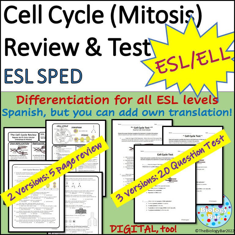 Biology Cell Cycle Mitosis Review & Test – Bilingual Marketplace