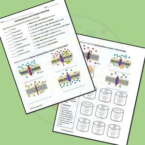 Biology Cell Transport Worksheet