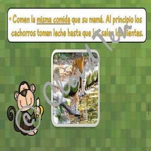 Los animales y sus crias