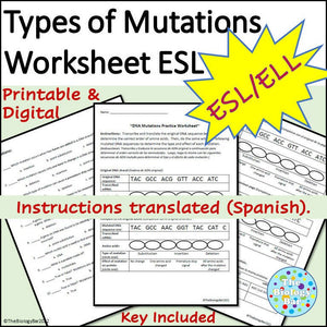 Biology DNA Mutations Worksheet