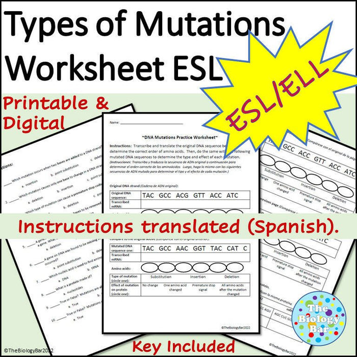 Biology DNA Mutations Worksheet