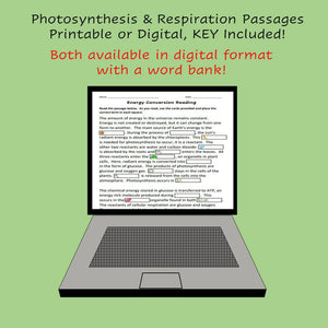 Biology Cell Energy Reading Passage