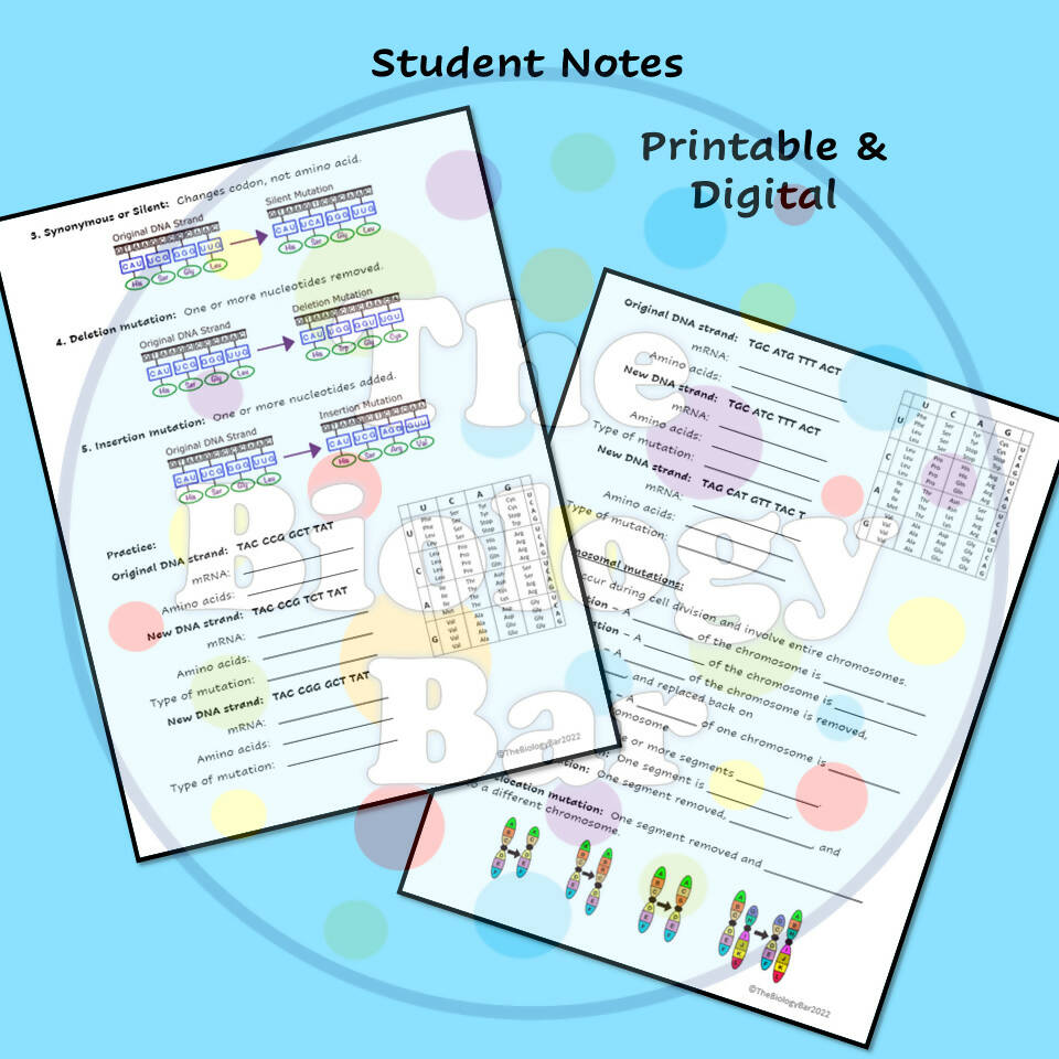 Biology DNA Mutations PowerPoint and Student Notes – Bilingual Marketplace