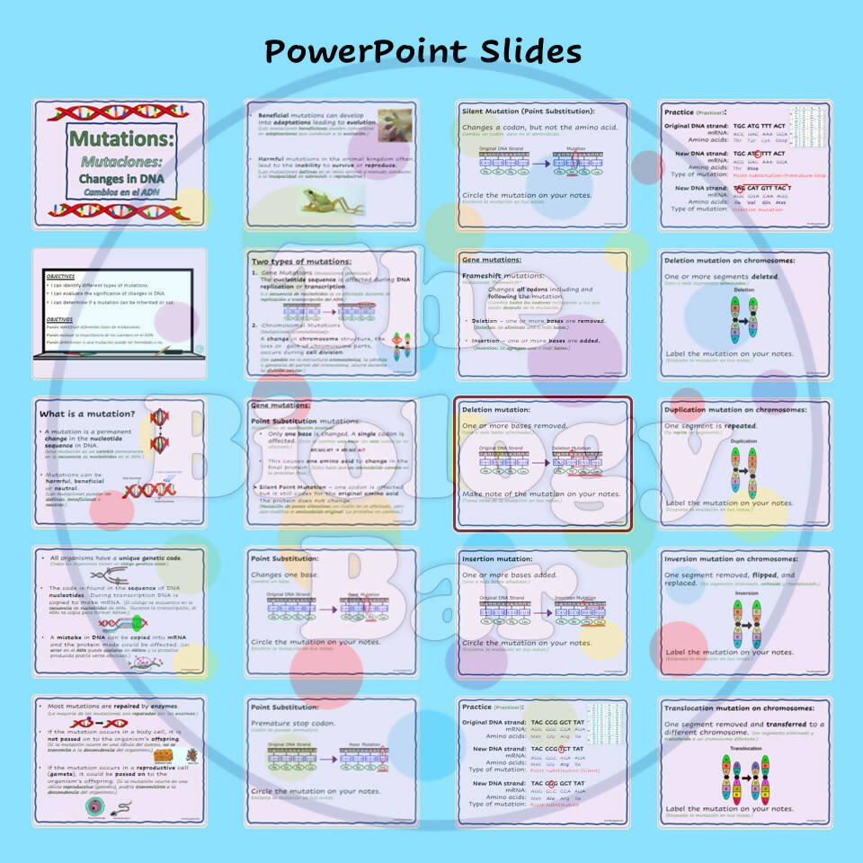 Mutation Notes Dna Biology DNA Mutations PowerPoint and Student Notes – Bilingual Marketplace