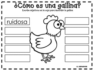 Chicken Life Cycle El ciclo de vida de la gallina