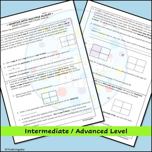 Genetics Multiple Alleles Punnett Square Problems