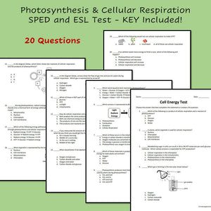 Biology Cell Energy Review and Test