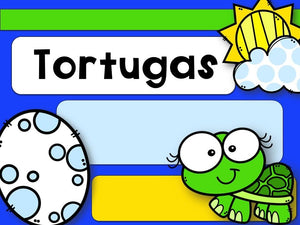 Formato de presentación PPT editable Tortugas/Globos/Perezoso