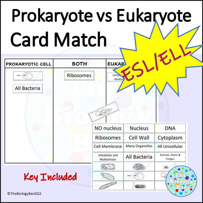 Biology Cell Structure Card Sort