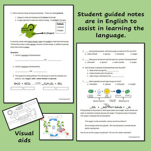 Biology Cell Energy PowerPoint Notes and Student Guided Notes