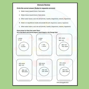 Biology Cell Transport Osmosis Notes