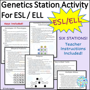 Genetics Station Review