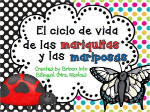 Unidad Ciclo de Vida - Mariquita y Mariposa Grados 1-3