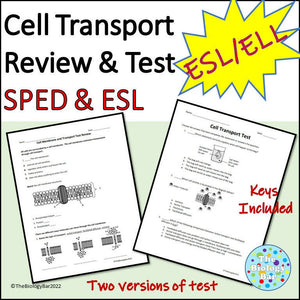 Biology Cell Transport Review and Test