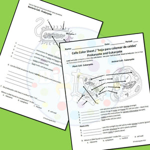 Biology Cells Prokaryote & Eukaryote Worksheet