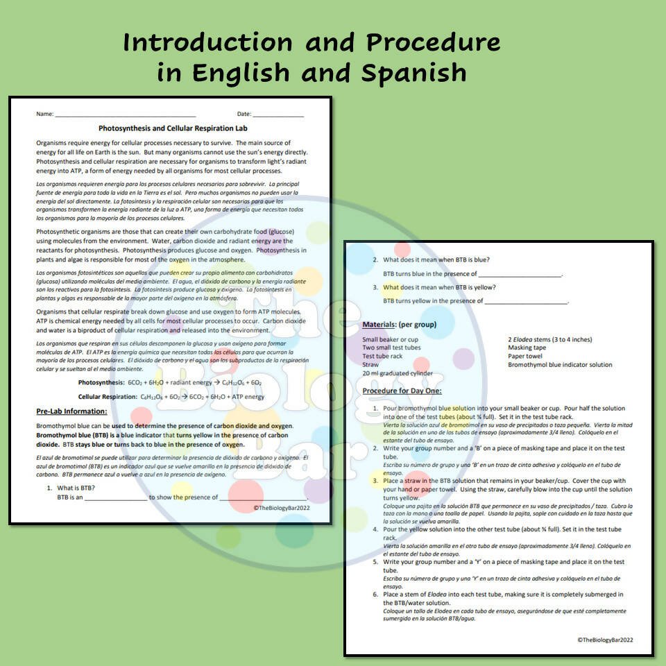 Cell Energy Lab Projects Biology Cell Energy Lab – Bilingual Marketplace