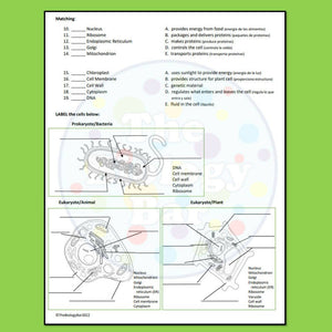 Biology Cell Structure Prokaryote Vs Eukaryote Worksheet