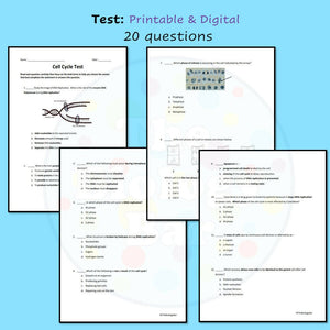 Biology Cell Cycle Mitosis Review & Test